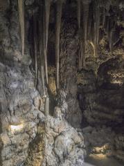 Center narave BK_1 foto: Boris Krstinić